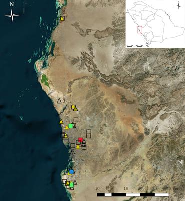 Detection of DENV-2 and Insect-Specific Flaviviruses in Mosquitoes Collected From Jeddah, Saudi Arabia